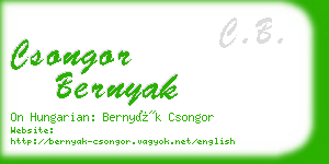 csongor bernyak business card